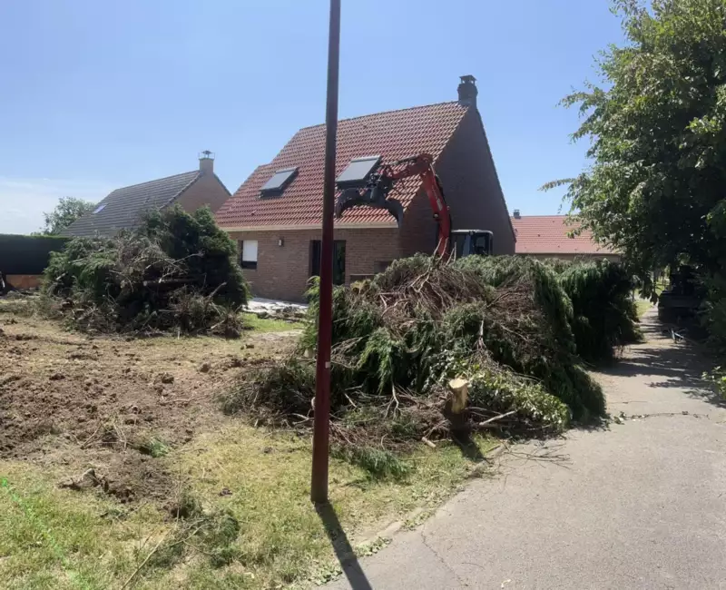 Pierres de lave entre les plantations