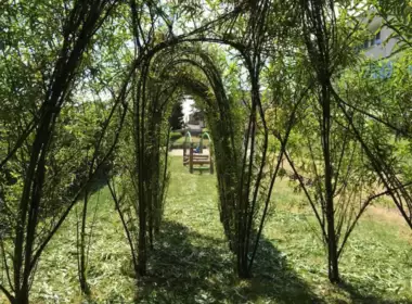 tuinen-jardins-peters-93 - 