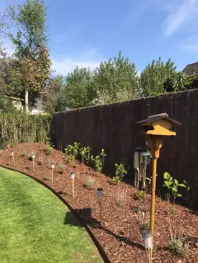 D495D090-85FF-4CDA-B480-ED2626185498 - 