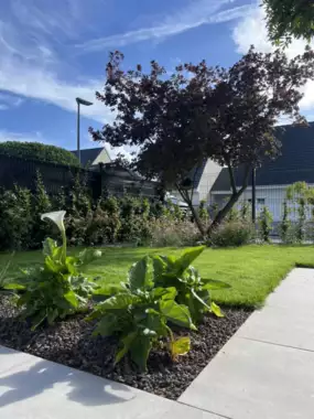 Jardin_Peters_verharding_terras_candela_deel1_38 - 