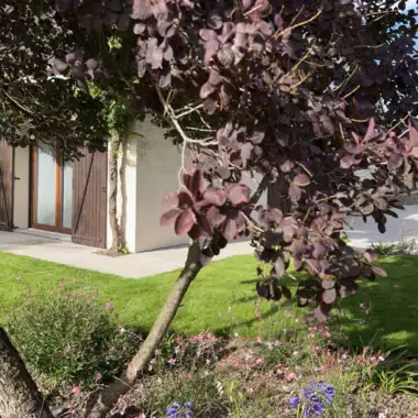 Jardin_Peters_verharding_terras_candela_deel1_25 - 