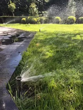 tuinen-jardins-peters-88 - 