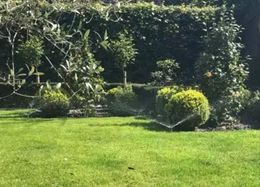 tuinen-jardins-peters-87 - 