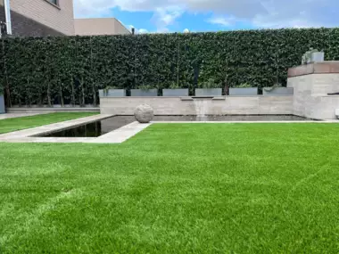 432916897_925879086209506_5013964788756022645_n - 