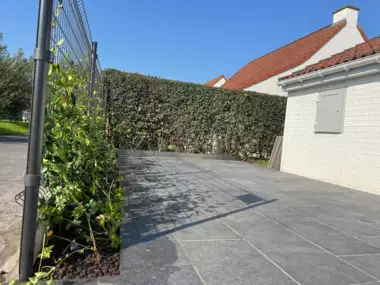 466047075_1106065724857507_4012165441565457424_n - 