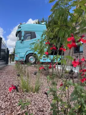 Jardin_Peters_lava_steentjes_deel2_20 - 