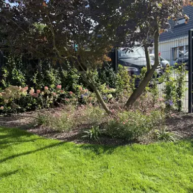 Jardin_Peters_verharding_terras_candela_deel1_24 - 