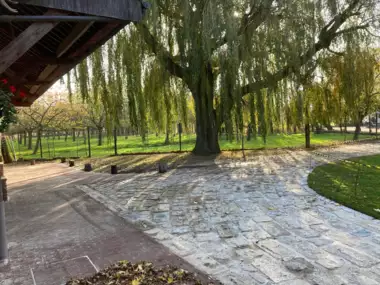 472667404_3731106107128413_1747136742819487202_n - 